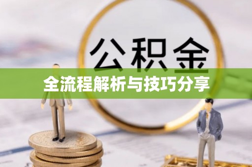 蒲江全流程解析与技巧分享